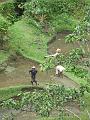 2007 07 17 BALI 0029